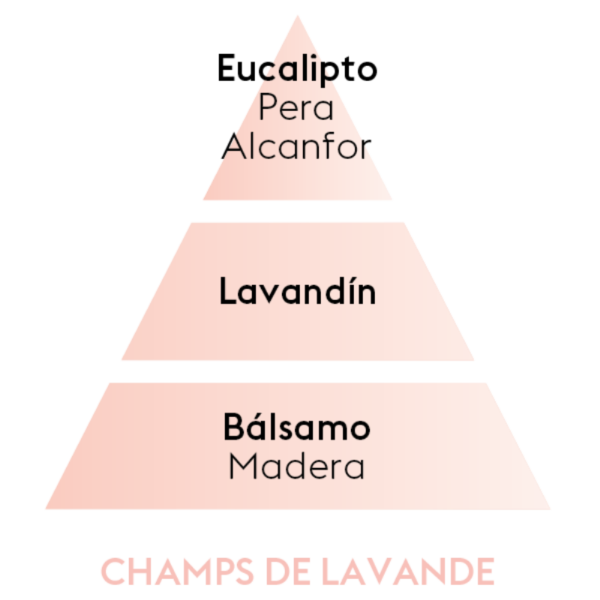 PERFUME CHAMPS DE LAVANDE (lavanda fresca) 1L