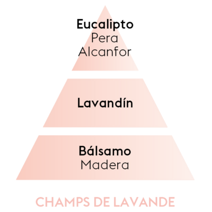 PERFUME CHAMPS DE LAVANDE (lavanda fresca) 1L
