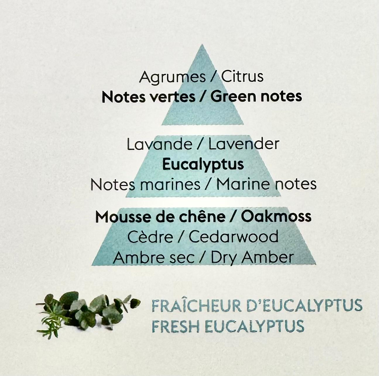 PERFUME FRAICHEUR EUCALYPTU (fresco) 500ML