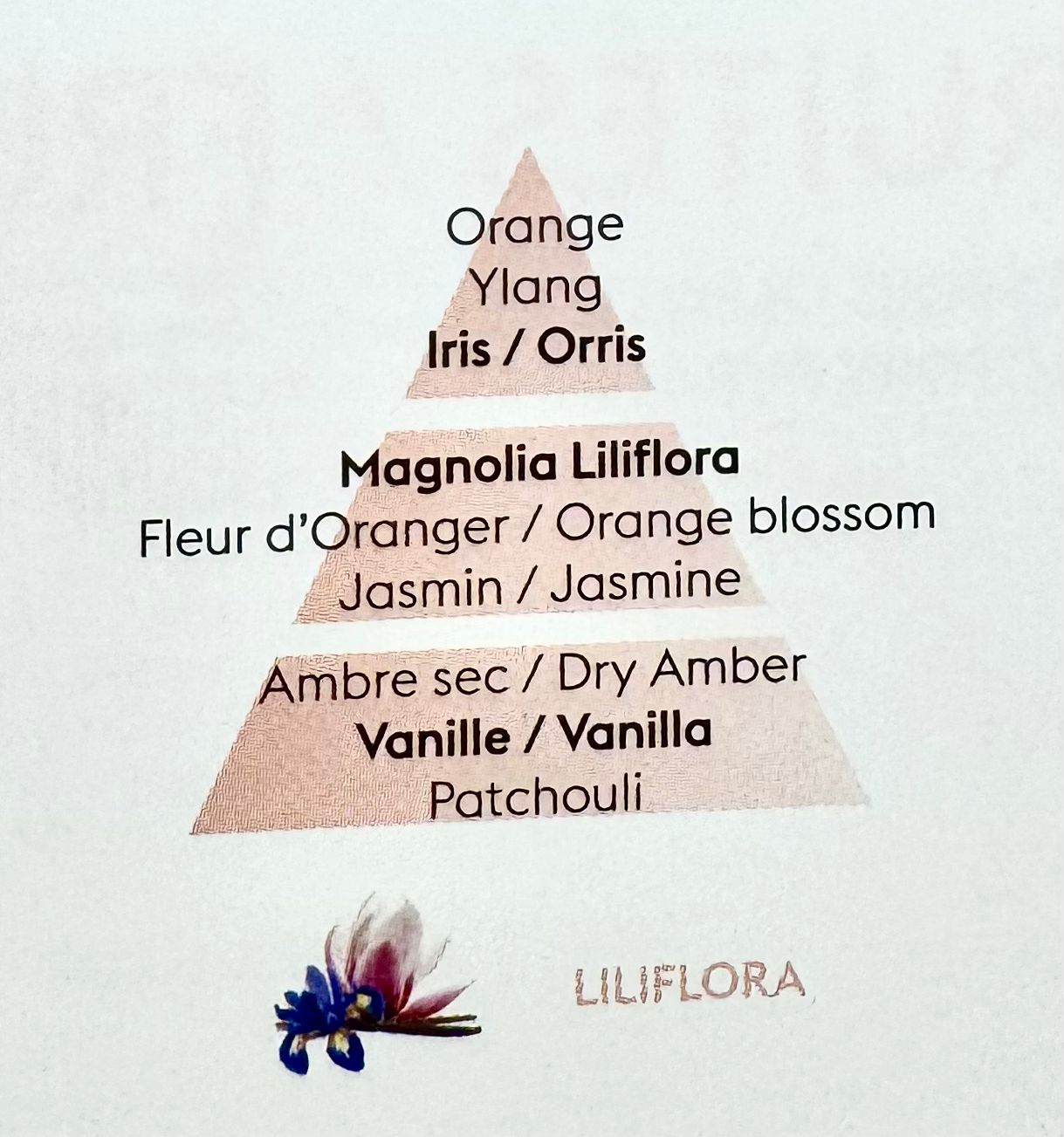 PERFUME LILIFLORA (dulce floral) 1L