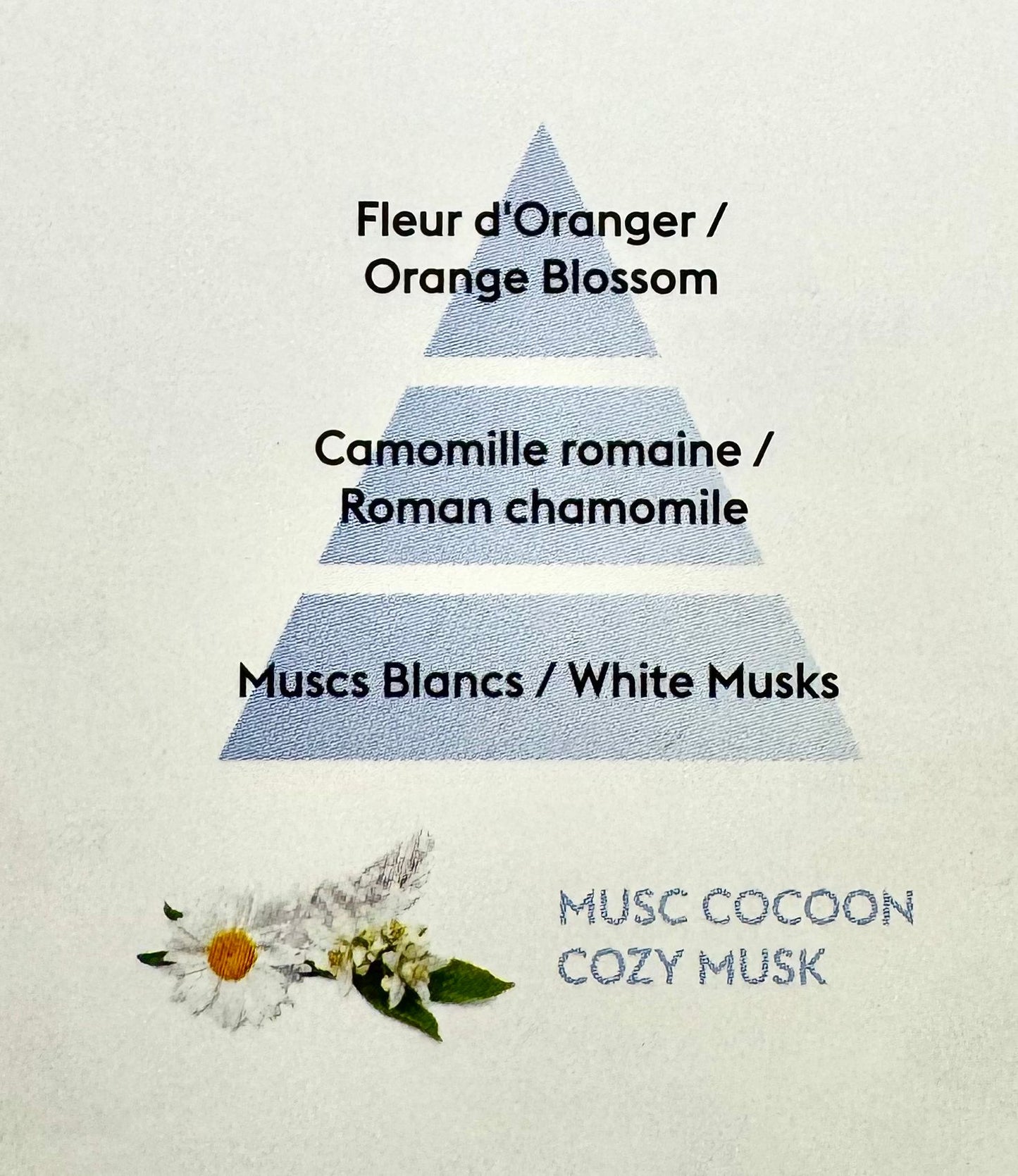 PERFUME MUSC COCOON (floral y delicado) 500ml