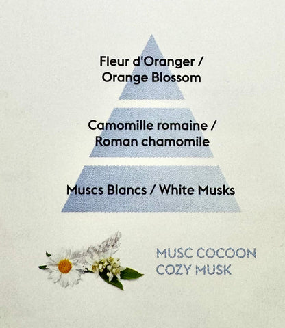 PERFUME MUSC COCOON (floral y delicado) 500ml