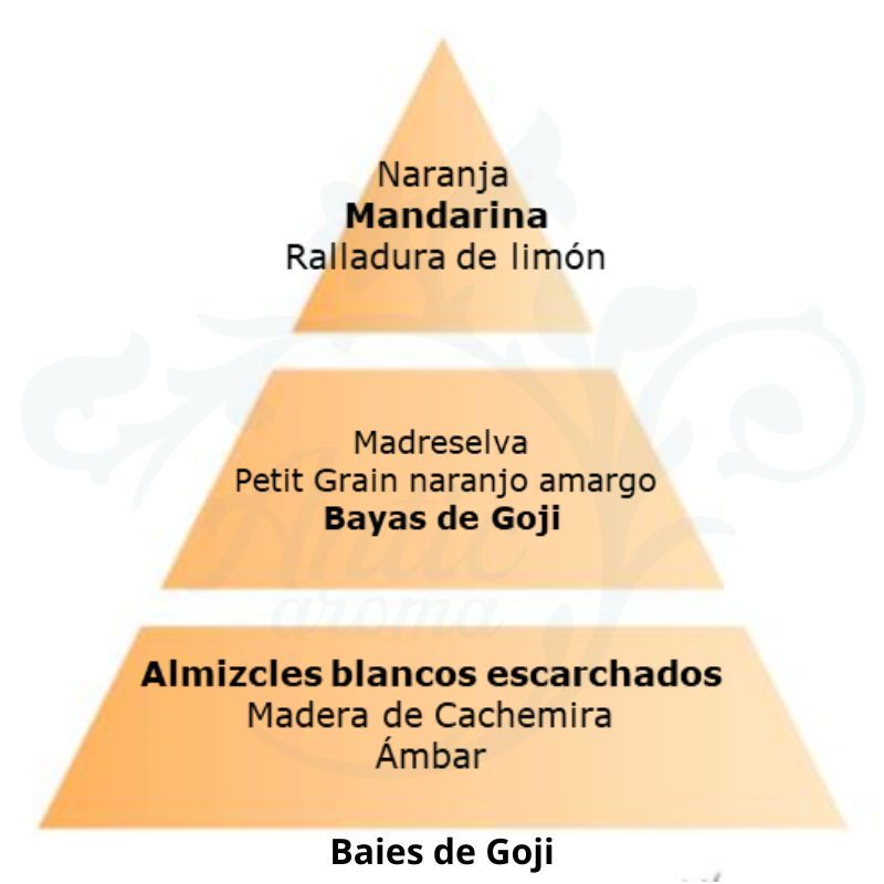 PERFUME BAIES DE GOJI (cítrico y afrutado) 500ML