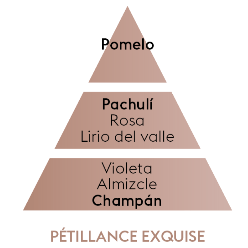 PERFUME PETILLANCE EXQUISE (amaderado y cítrico) 500ml