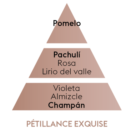 PERFUME PETILLANCE EXQUISE (amaderado y cítrico) 500ml